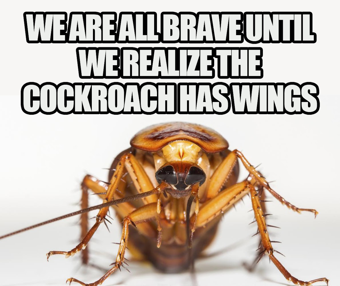 Hero