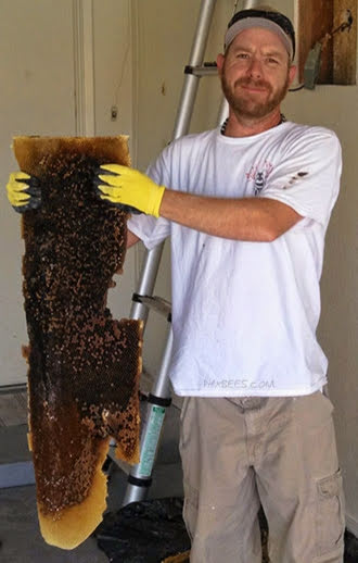Hero
