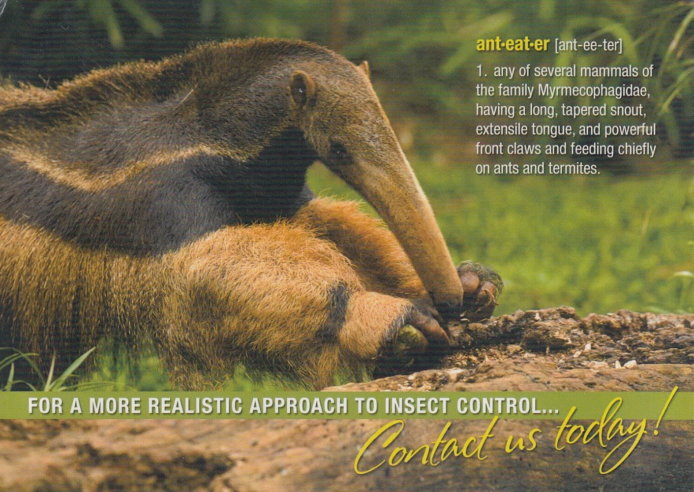 Google street view image of Anteater's Pest Control LLC