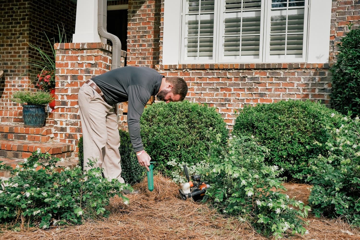 Google street view image of Waynes Pest Control
