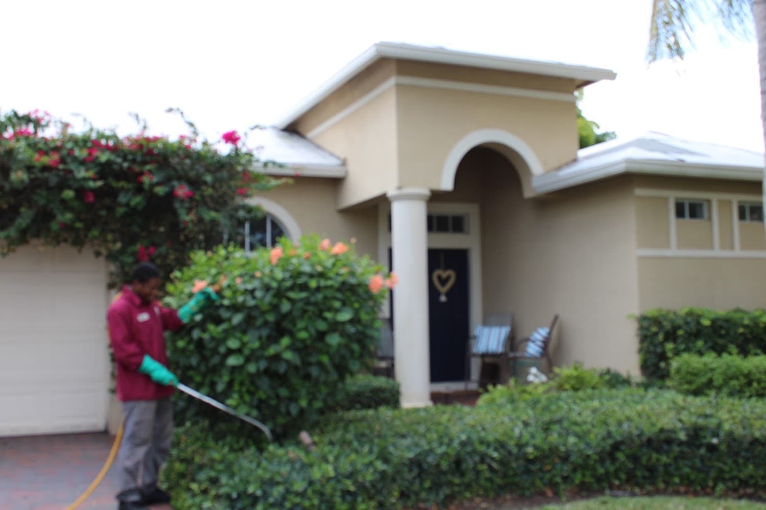 Google street view image of Above and Beyond Pest Control