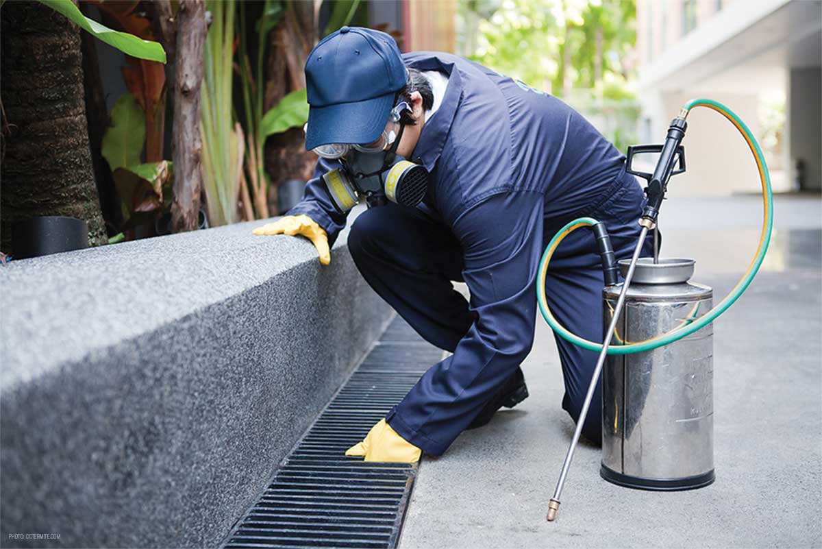 Google street view image of Swan's Pest Control