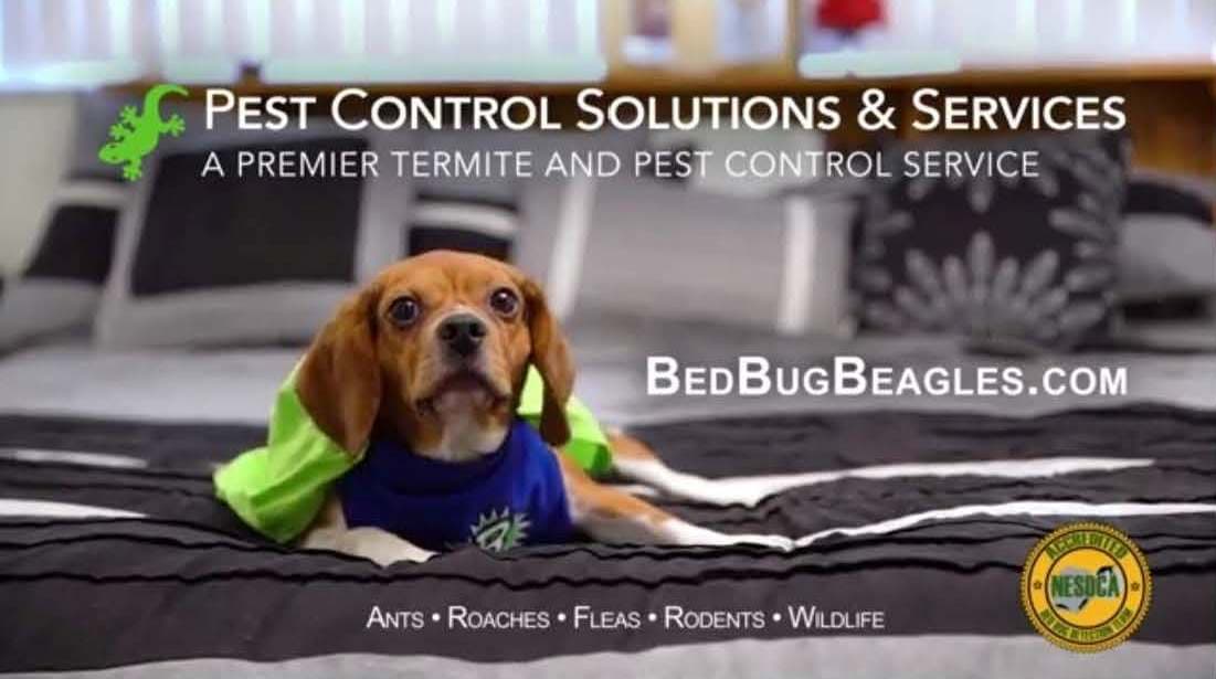 Google street view image of Pest Control Solutions & Services