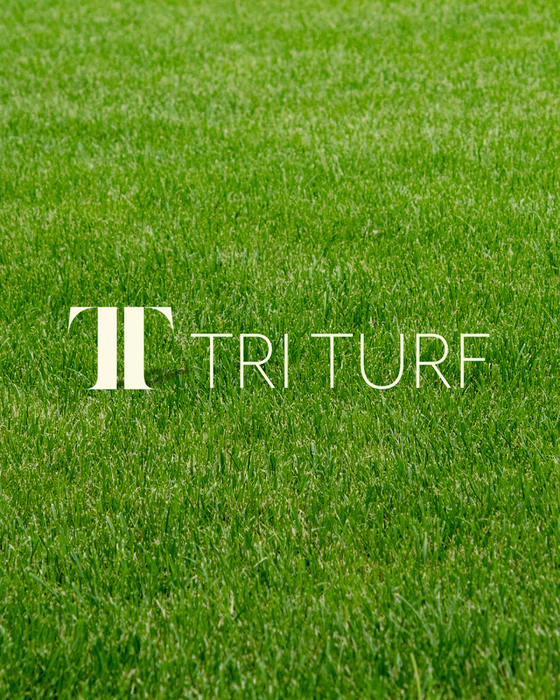 Google street view image of TriTurf