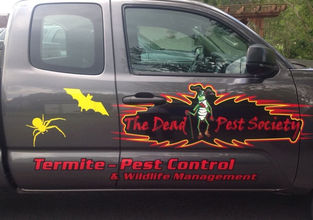 Google street view image of The Dead Pest Society
