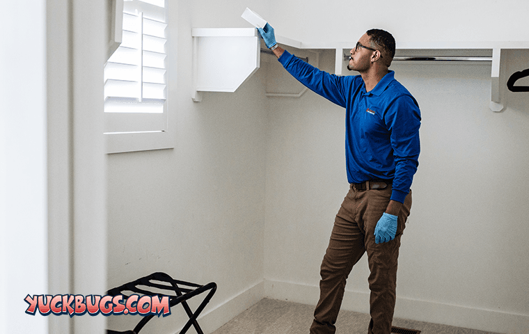 Google street view image of All-American Pest Control
