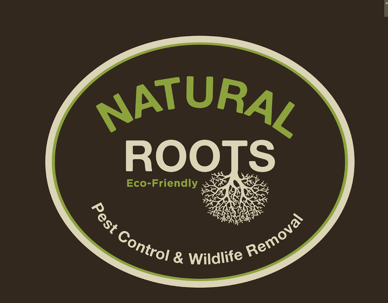 Google street view image of Natural Roots Organic Pest Control
