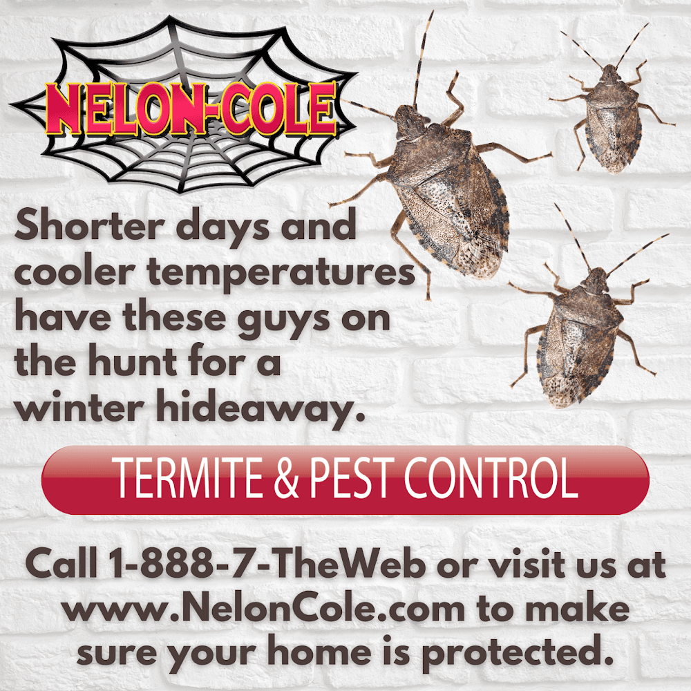 Google street view image of Nelon-Cole Termite & Pest Control