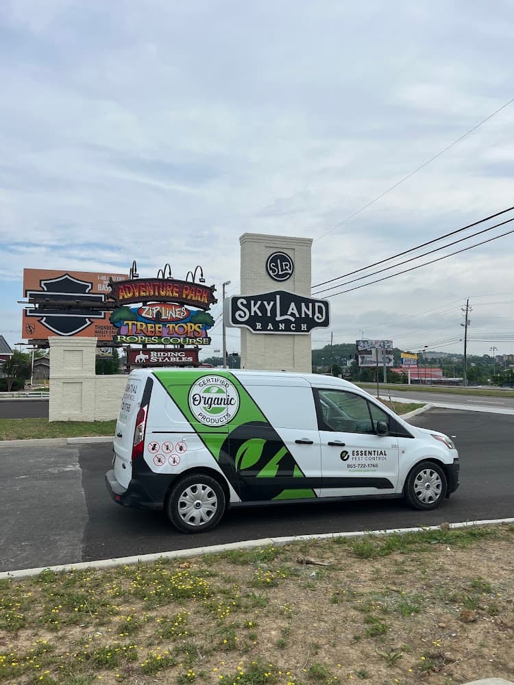 Google street view image of Essential Pest Control