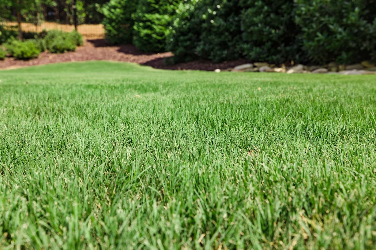 Google street view image of Nature's Turf