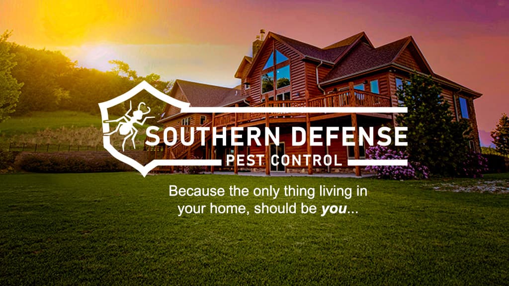 Google street view image of Southern Defense Pest Control