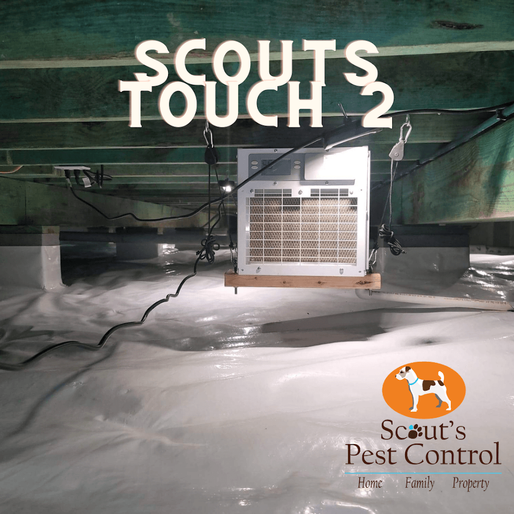 Google street view image of Scout's Pest Control