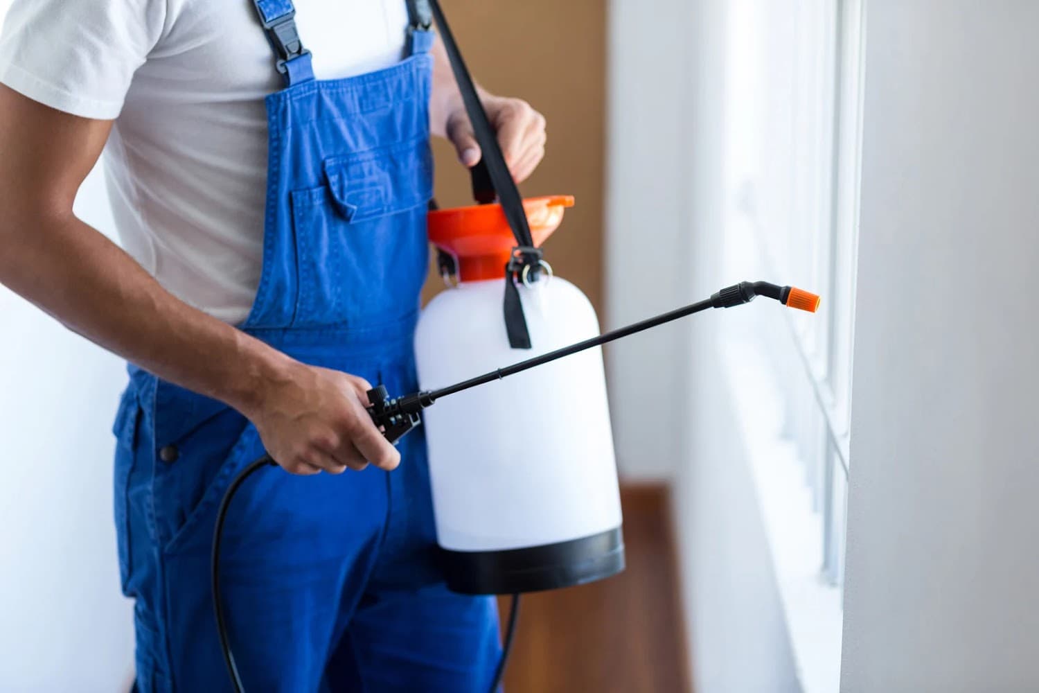 Google street view image of Krizen Pest Control