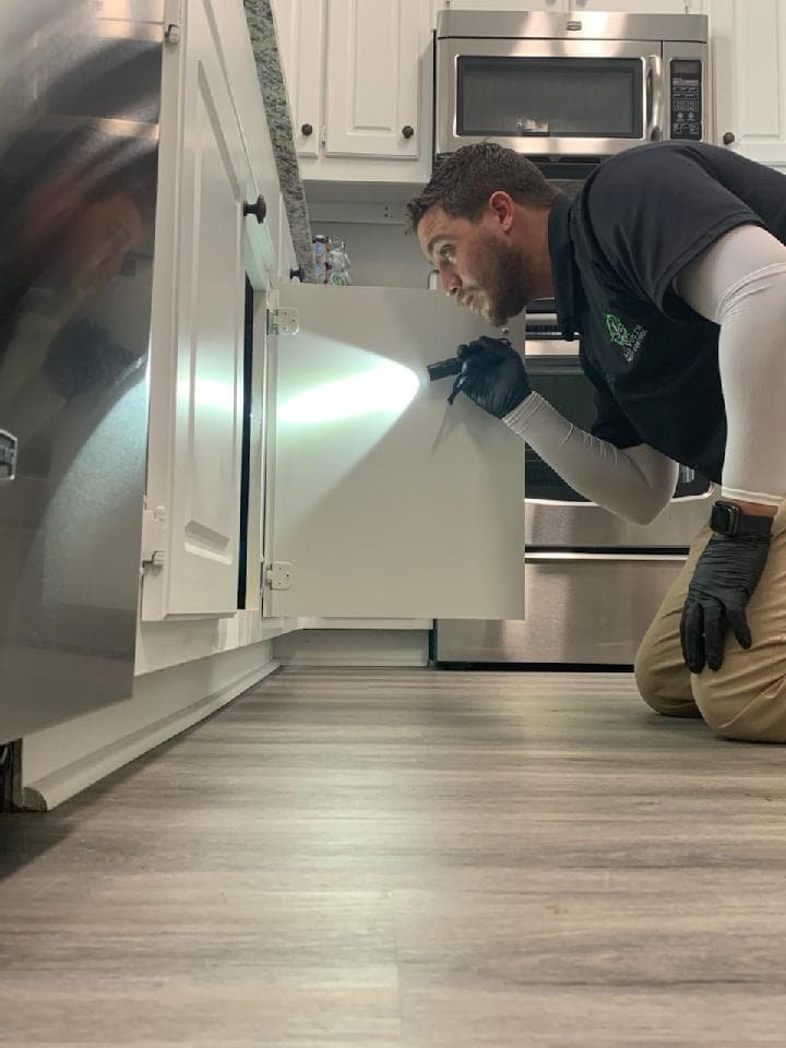 Google street view image of All South Pest Control