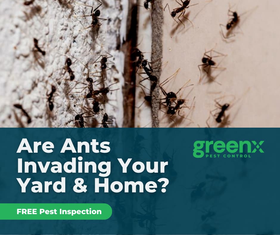 Google street view image of TruX Pest Control