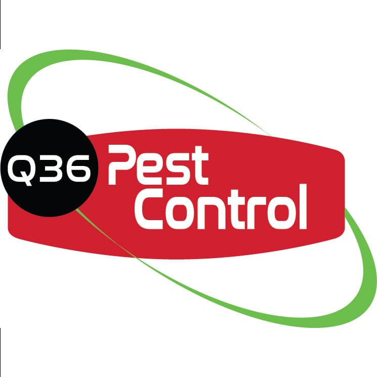 Google street view image of Q36 Pest Control