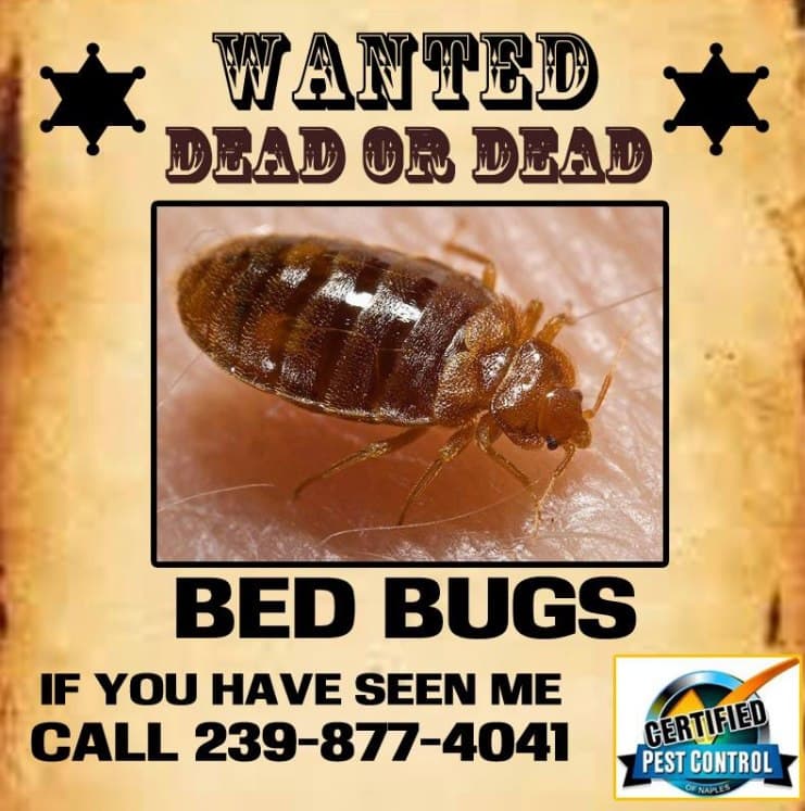 Google street view image of Certified Pest Control