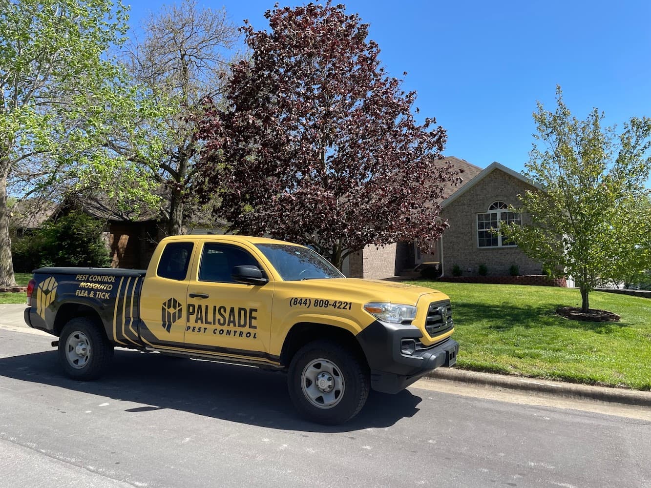 Google street view image of Palisade Pest Control