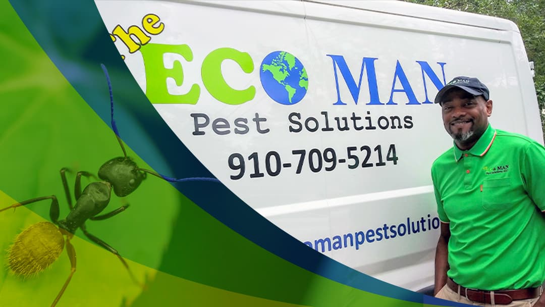 Google street view image of Eco Man Pest Solutions