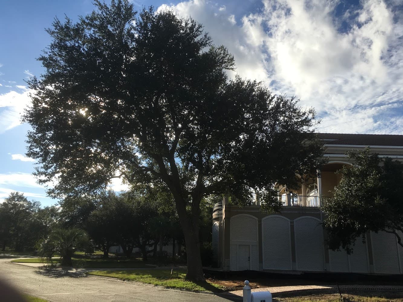 Google street view image of Total Tree Care, Inc.