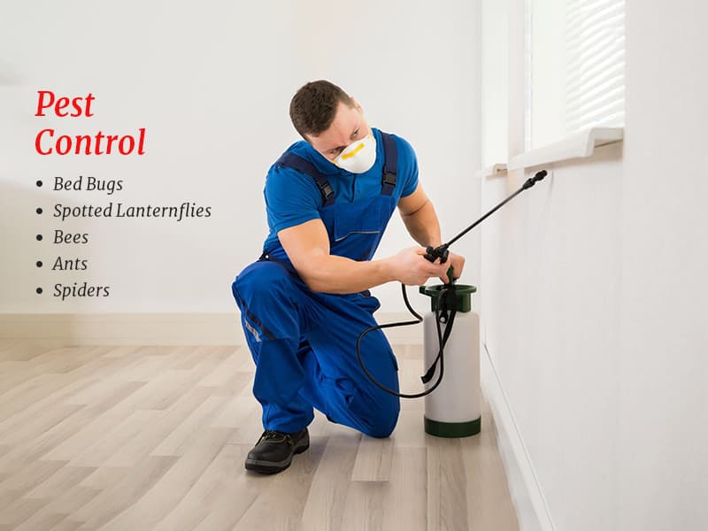 Google street view image of Lake City Pest Control Experts