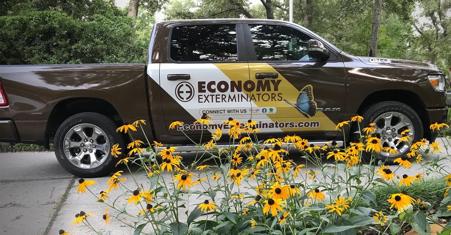 Google street view image of Economy Exterminators