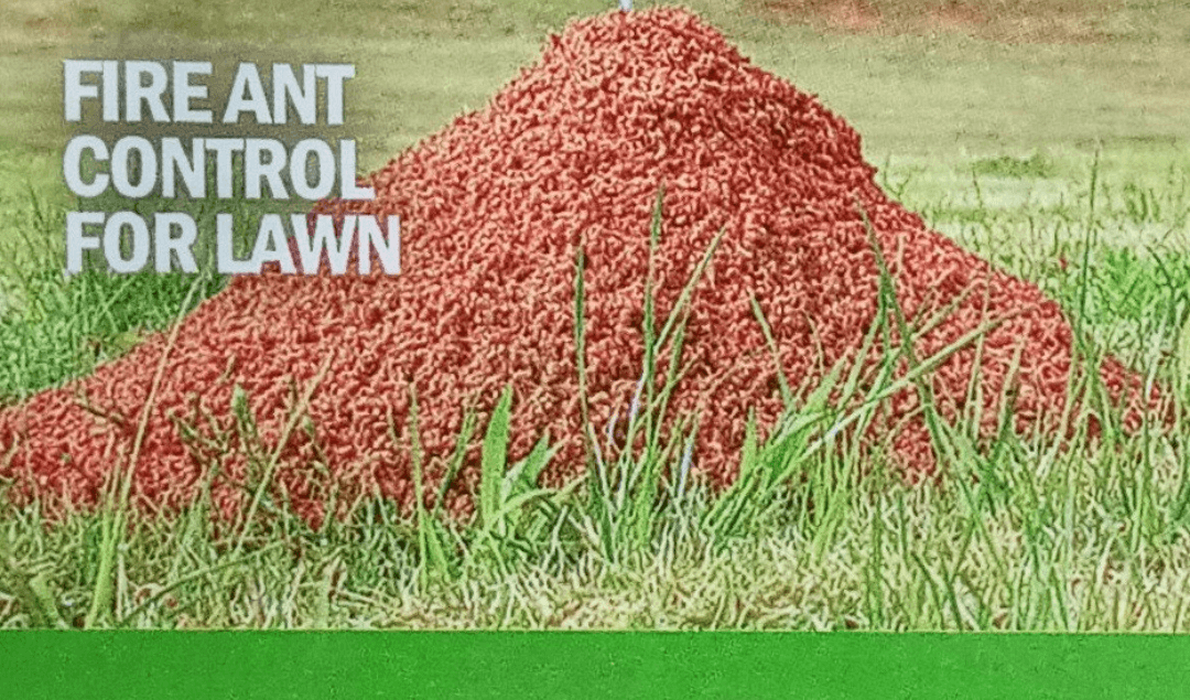 Google street view image of We Kill Bugs Pest Elimination