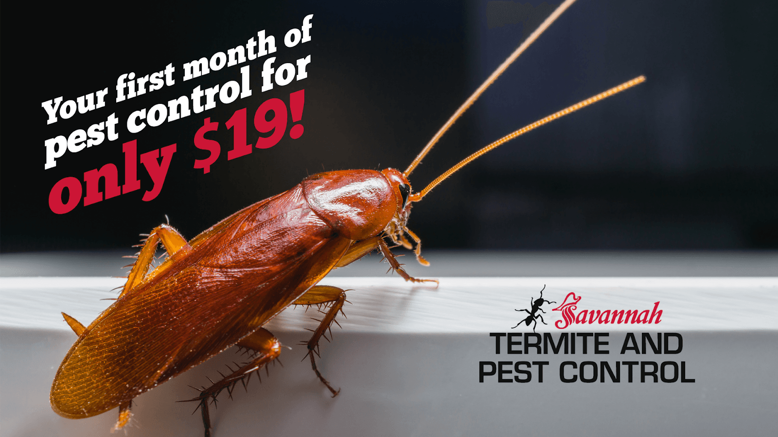 Google street view image of Savannah Termite and Pest Control