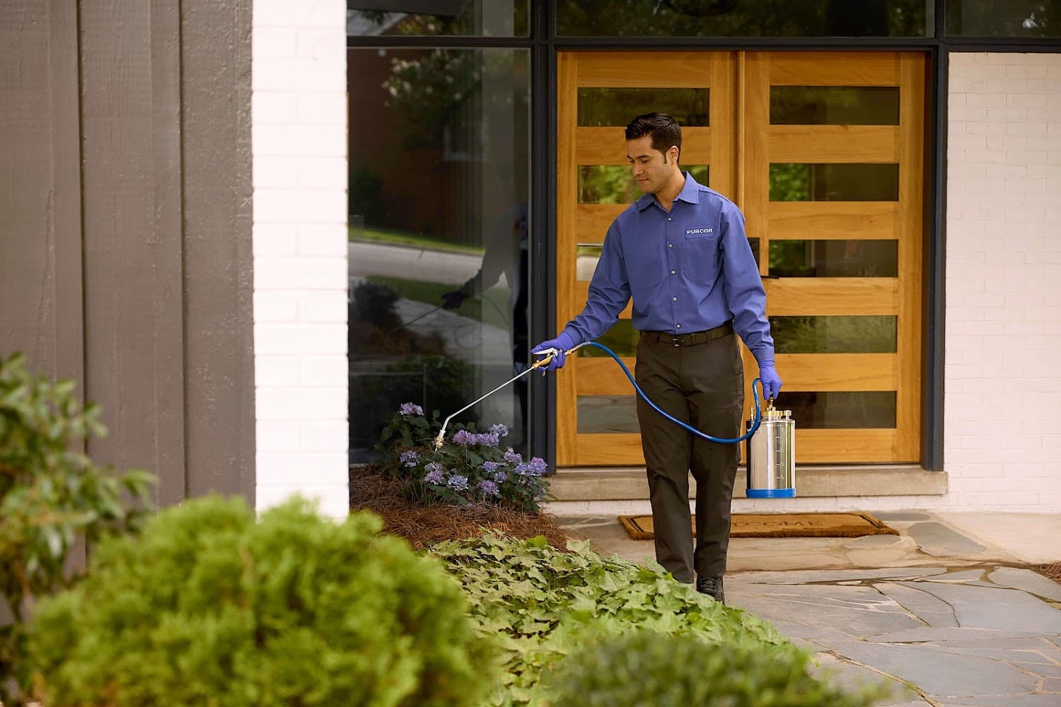 Google street view image of PURCOR Pest Solutions