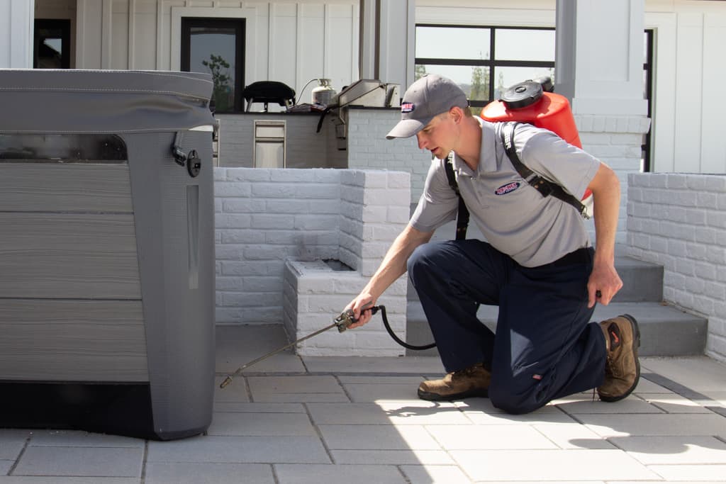 Google street view image of Romney Pest Control