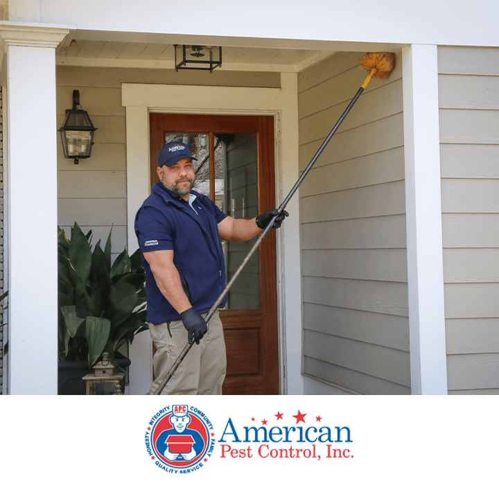 Google street view image of American Pest Control