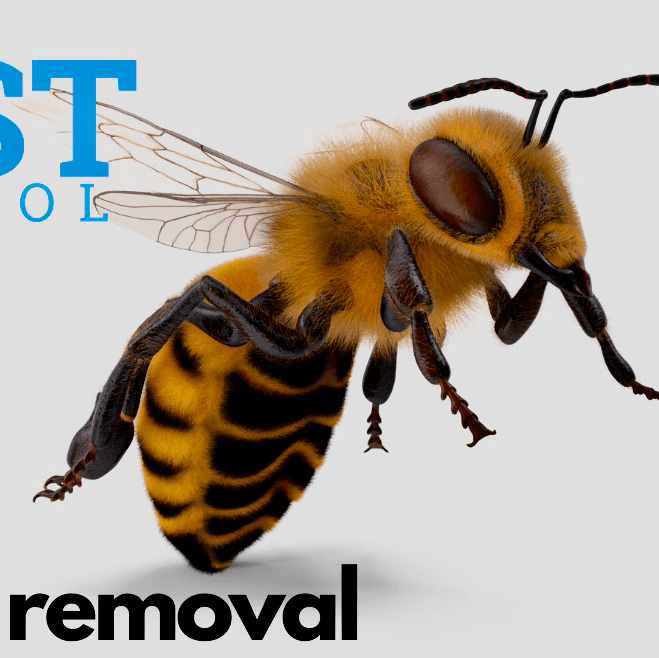 Google street view image of V Pest Control