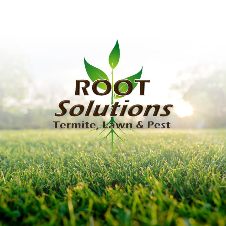 Google street view image of Root Solutions Termite, Lawn & Pest
