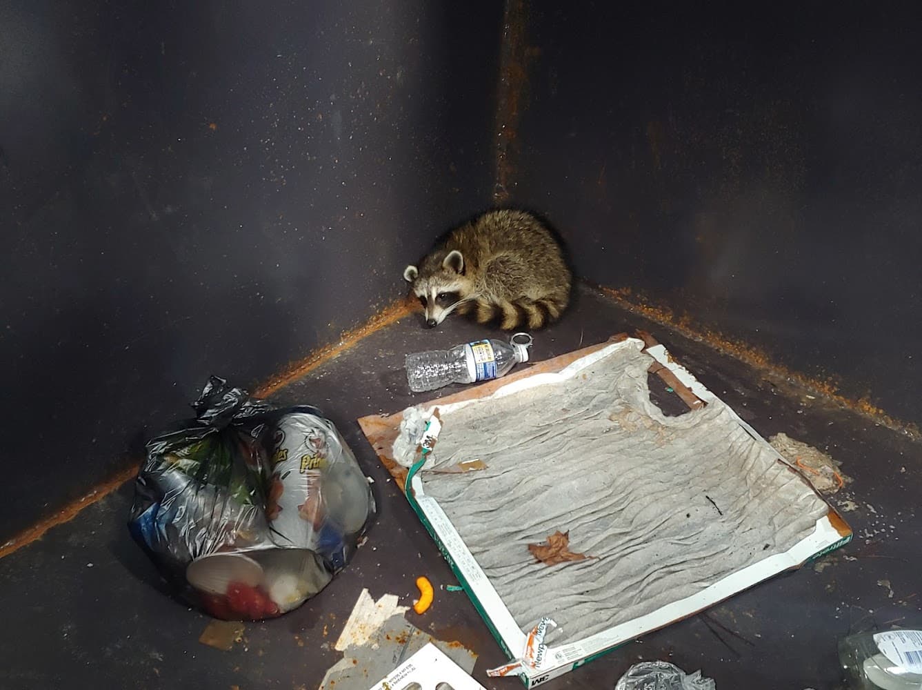 Google street view image of Freedom Wildlife Solutions