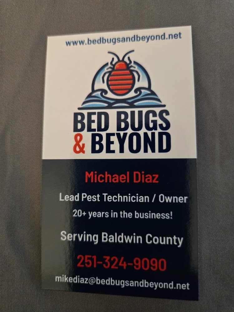 Google street view image of Bed Bugs and Beyond