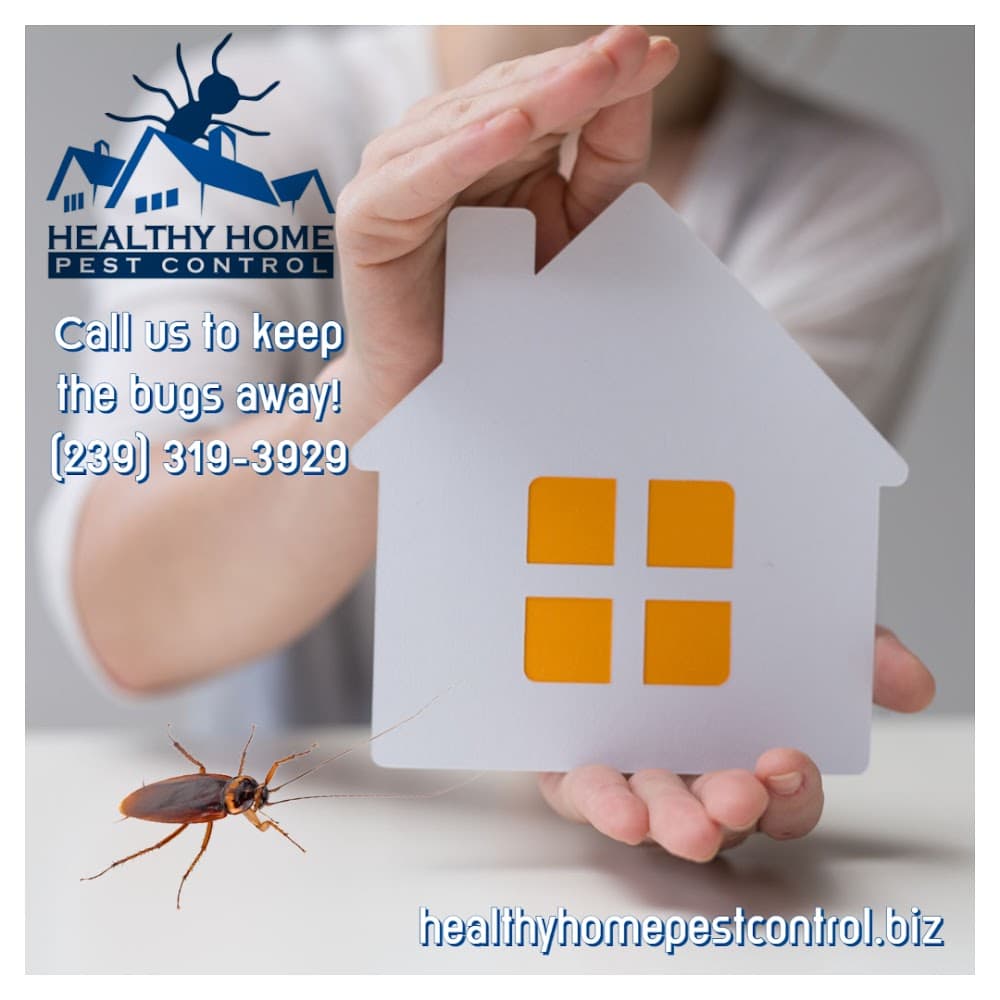 Google street view image of Healthy Home Pest Control Inc