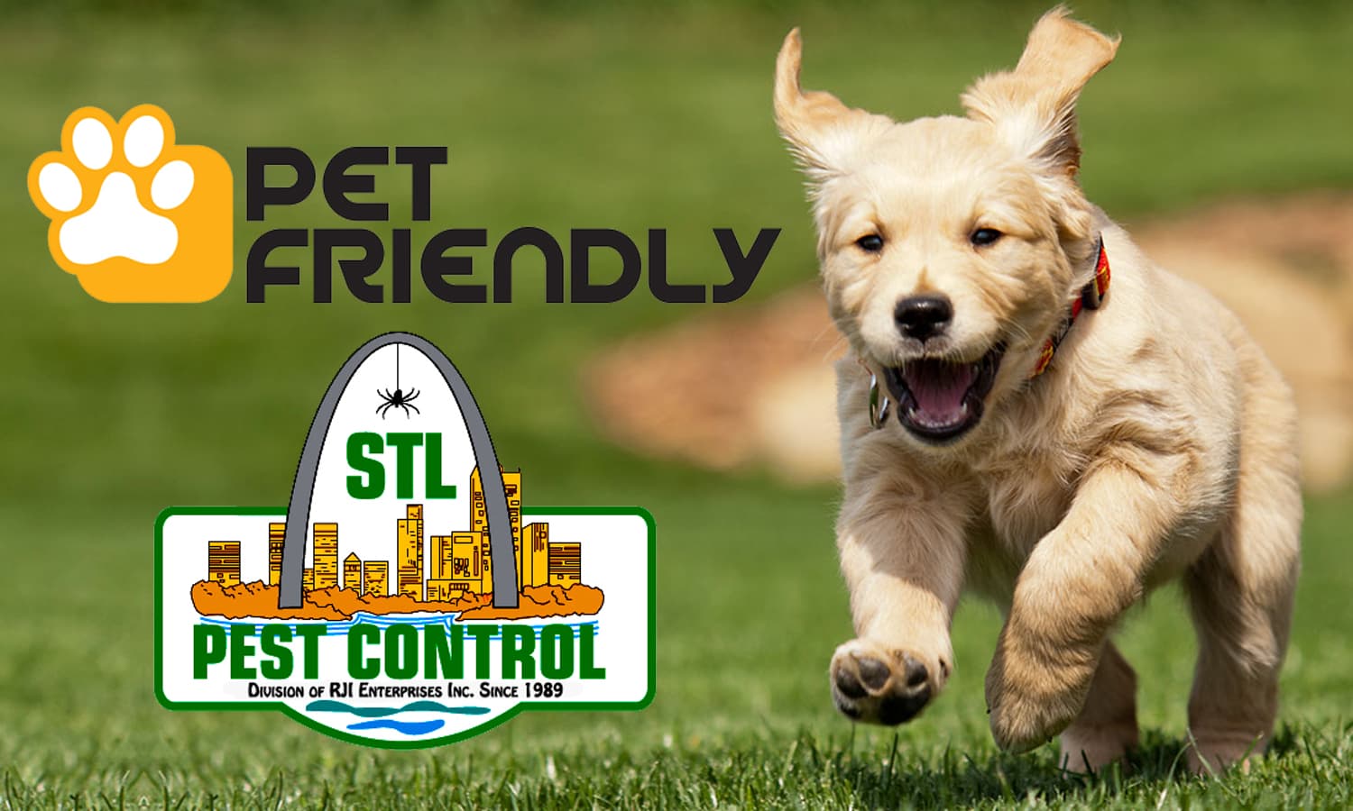 Google street view image of Stl Pest Control