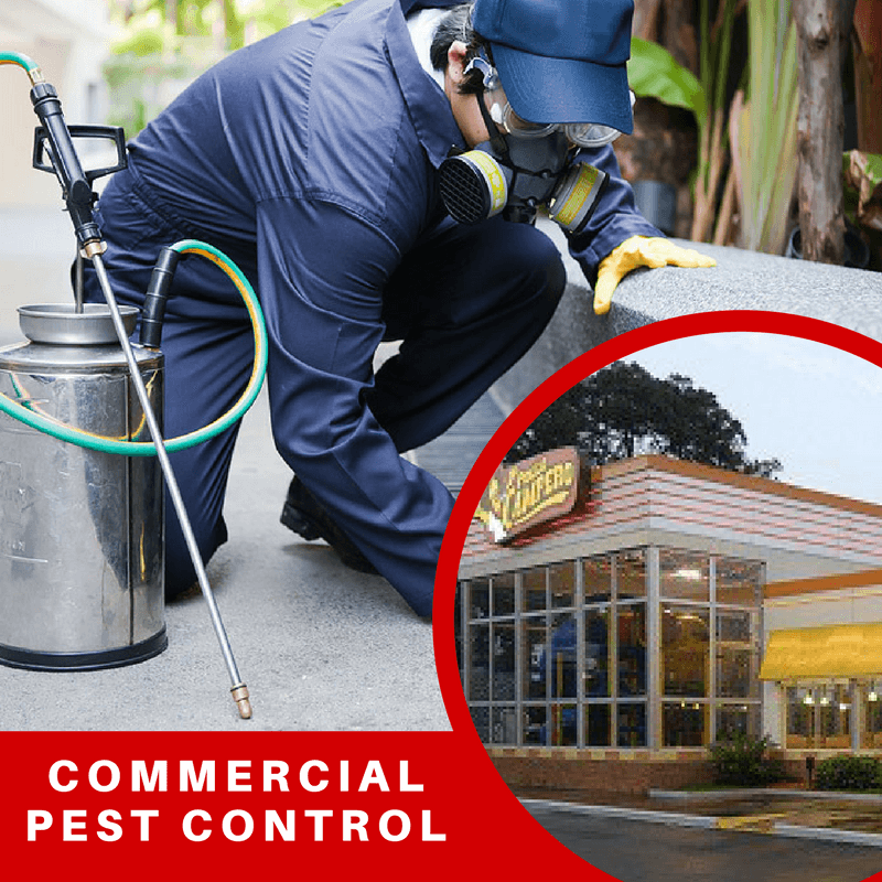 Google street view image of AMERICAN PEST SOLUTIONS