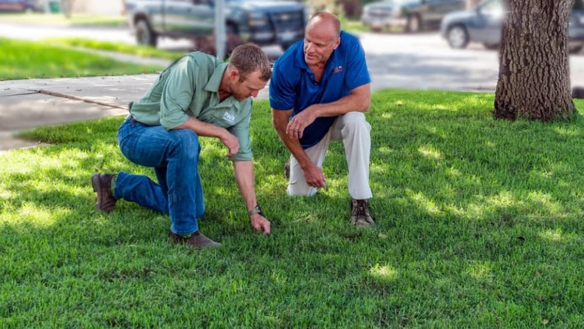 Google street view image of Emerald Lawns