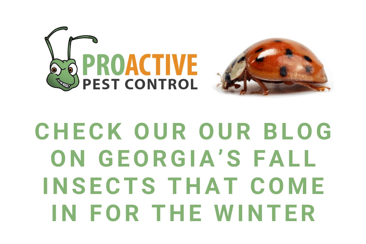 Google street view image of Proactive Pest Control