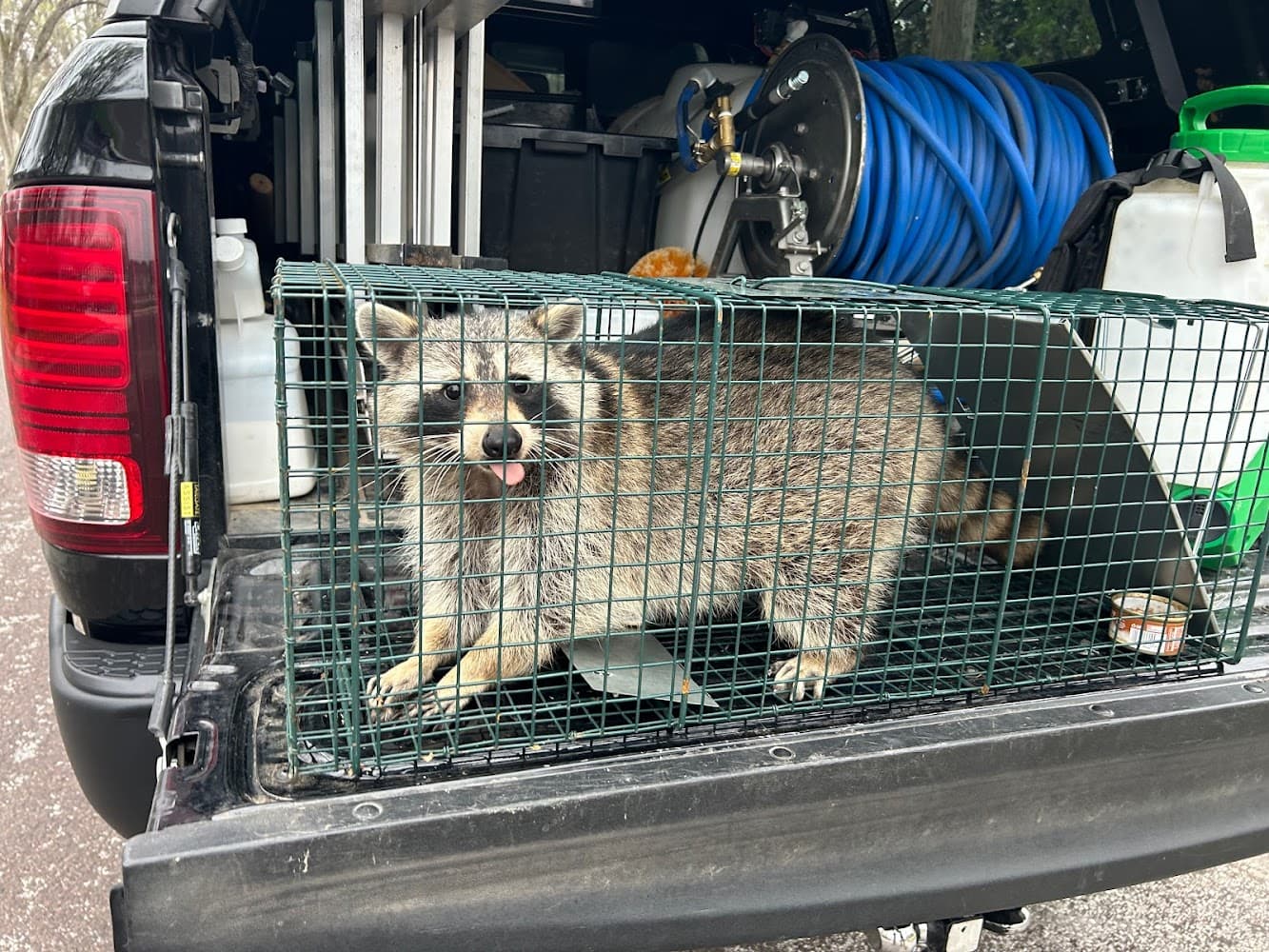 Google street view image of Reliable Pest Management