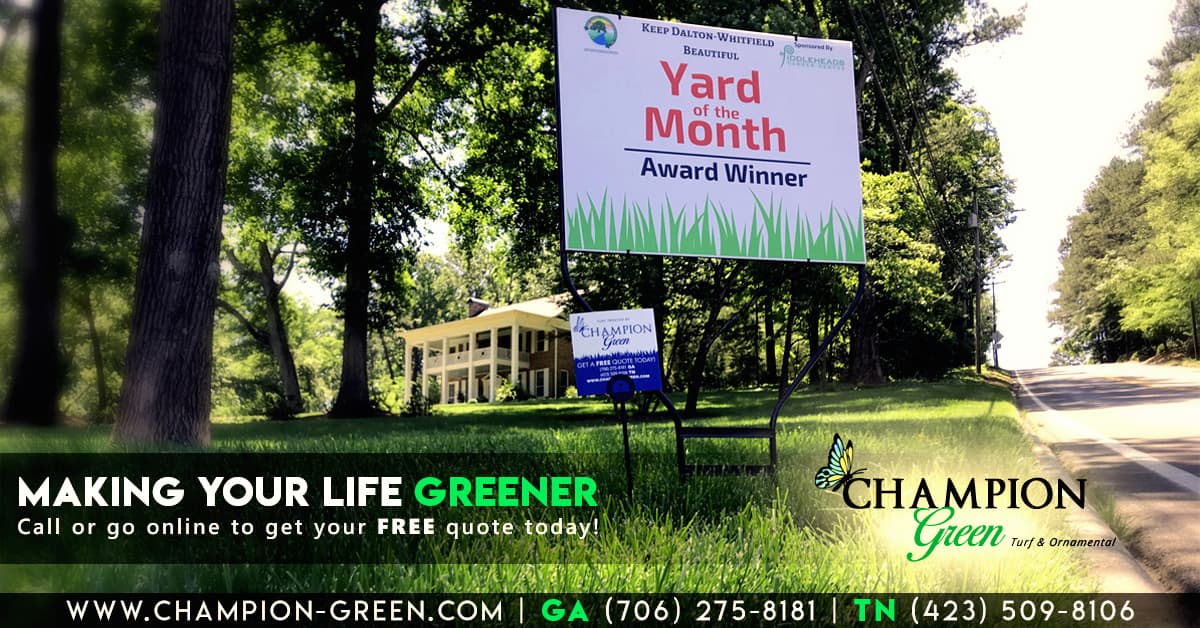 Google street view image of Champion Green Turf & Ornamental Services, LLC