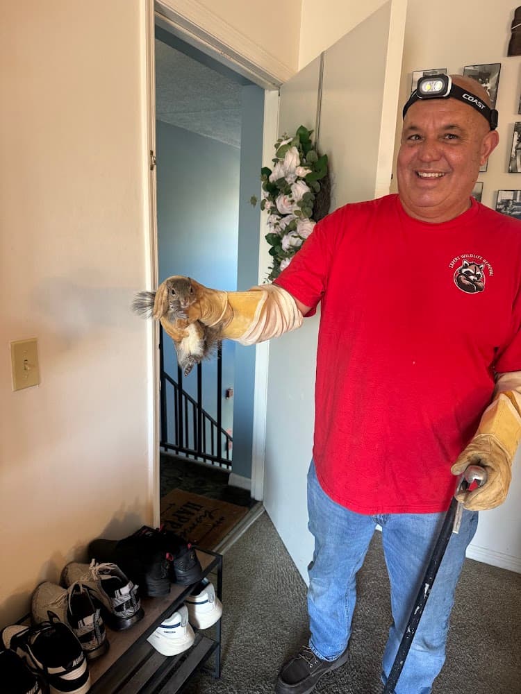 Google street view image of Expert Rodent & Wildlife Removal