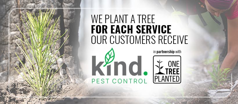 Google street view image of Kind Pest Control