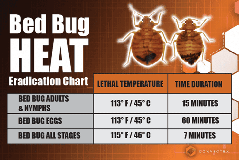 Google street view image of Bed Bug Texas Termite & Pest Control | Eco-Friendly Services