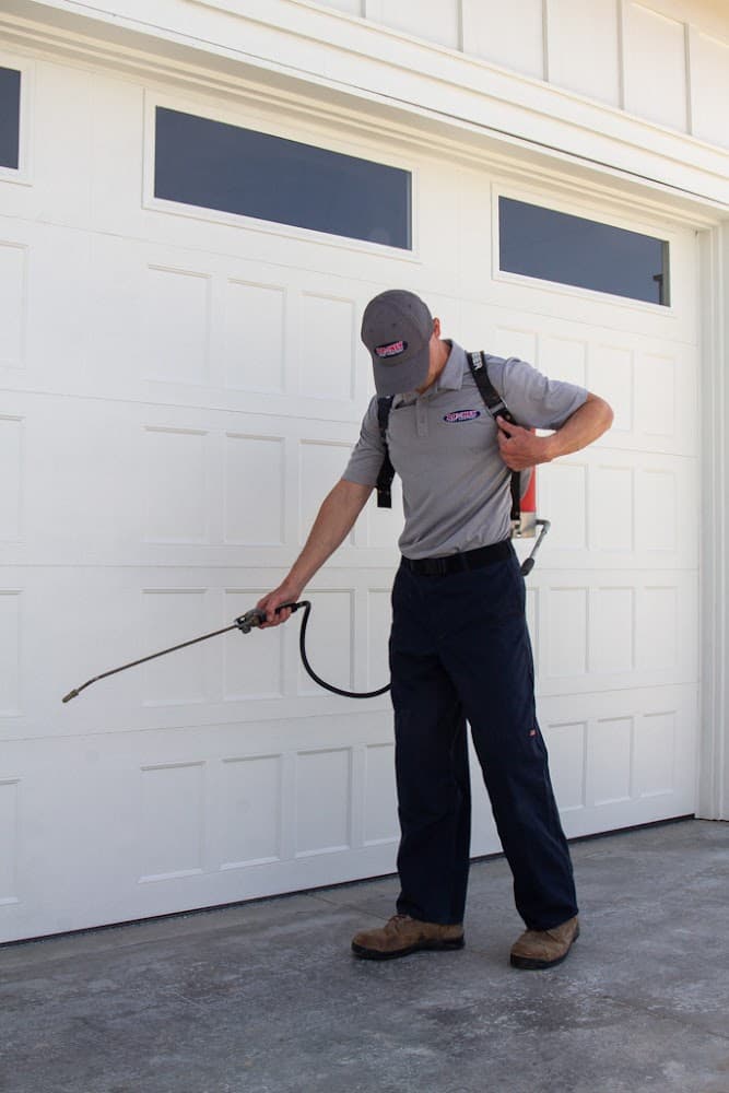 Google street view image of Romney Pest Control