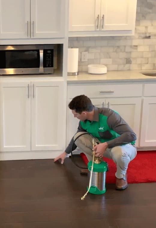 Google street view image of Vinx Pest Control