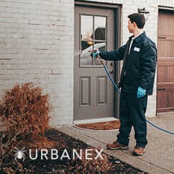 Google street view image of Urbanex Pest Control