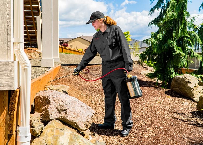 Google street view image of Ehrlich Pest Control