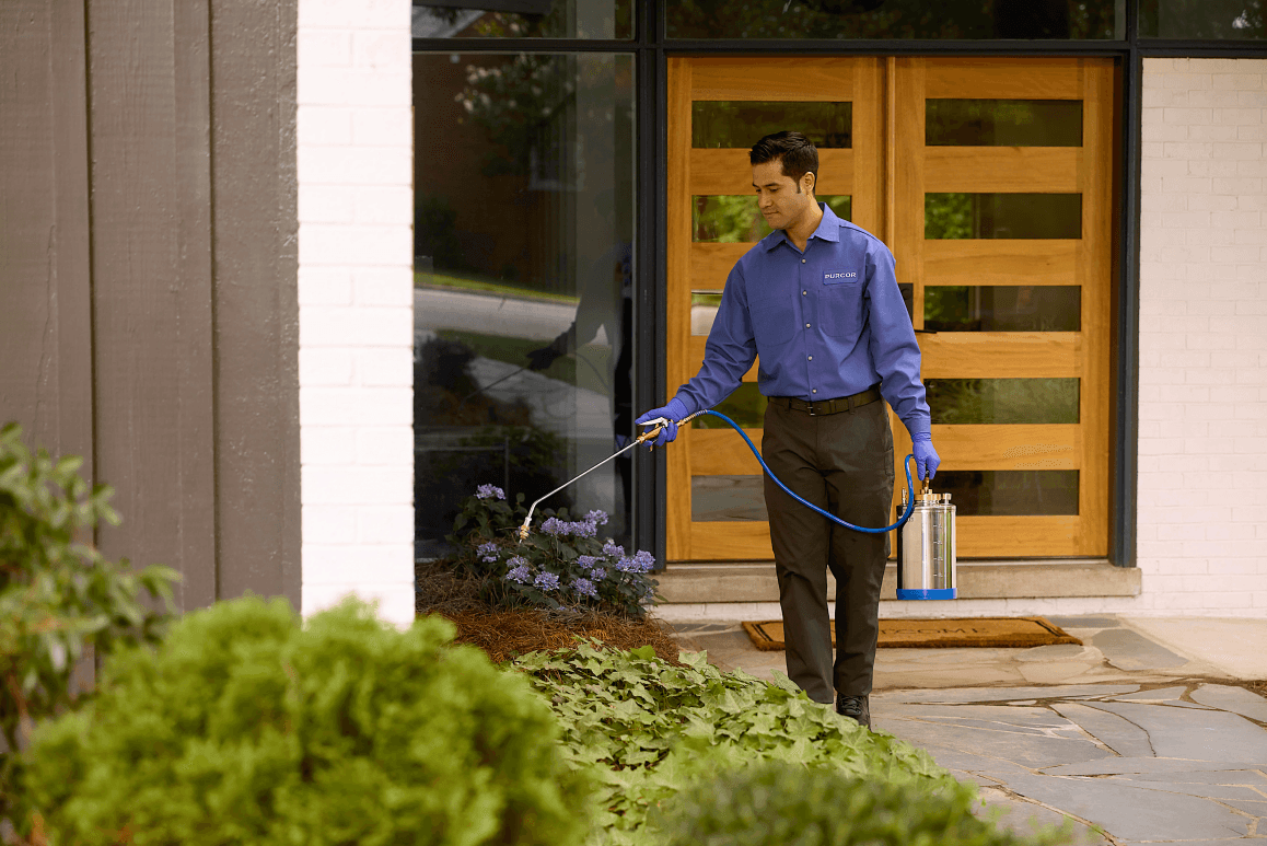 Google street view image of PURCOR Pest Solutions
